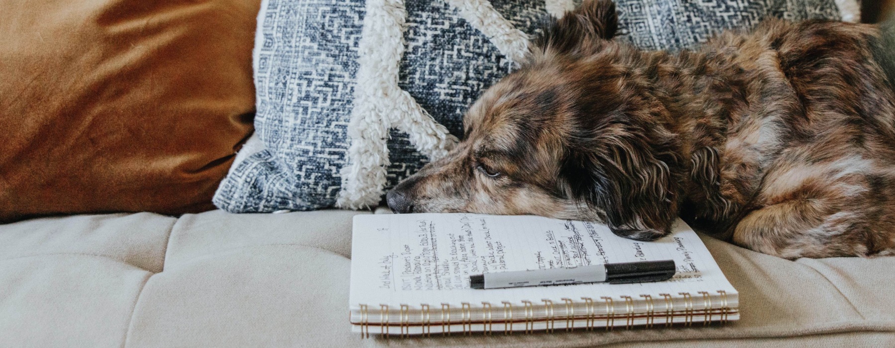 Pet-Friendly Apartments in Fredericksburg, TX