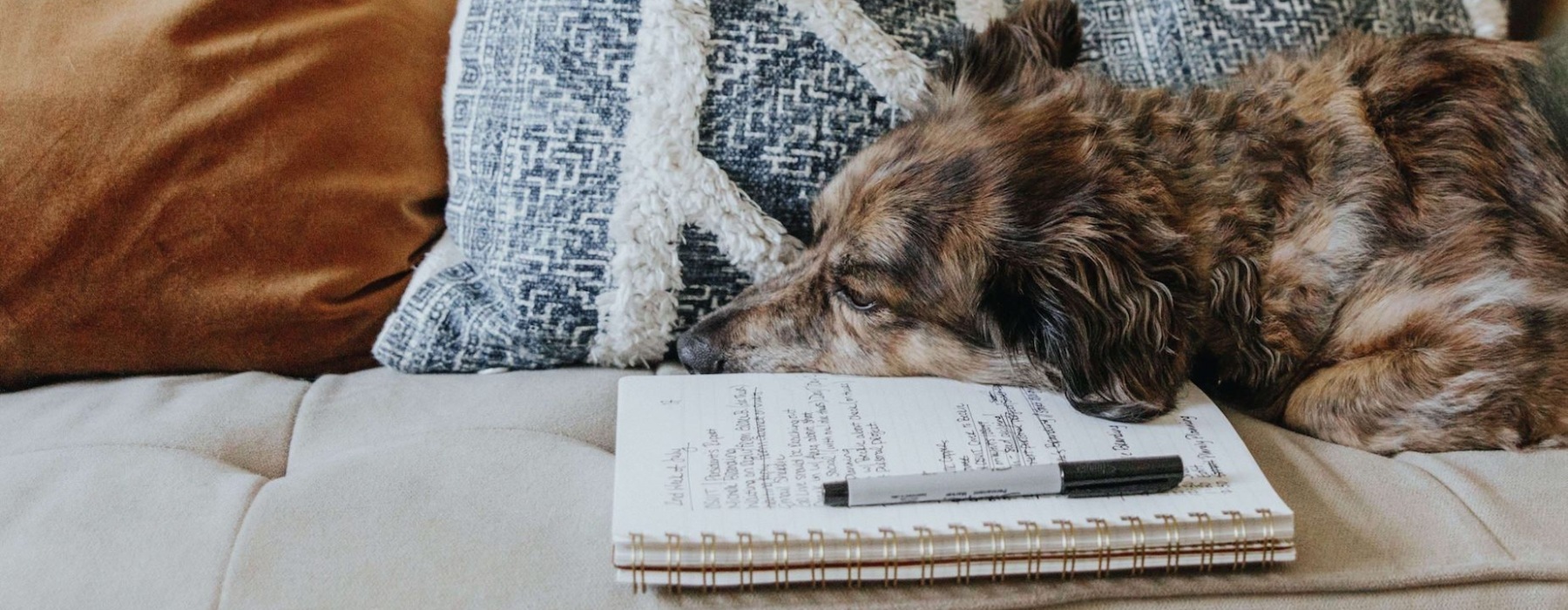 Pet-Friendly Apartments in Fredericksburg, TX