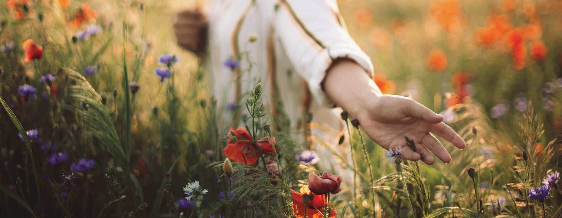 woman runs her hand over wild flowers in a field